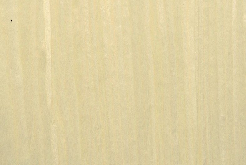 Фасад из плиты шпонированный Fine Line, 19 мм, матовый закрытопористый, 1 ст, цвет Береза F