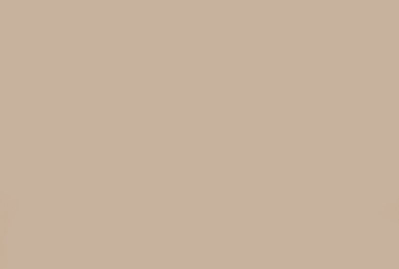 Фасад из плиты AGT High Gloss 18 мм, глянцевый, Кофе с молоком-623 (односторонний) (RAL 1019) PUR