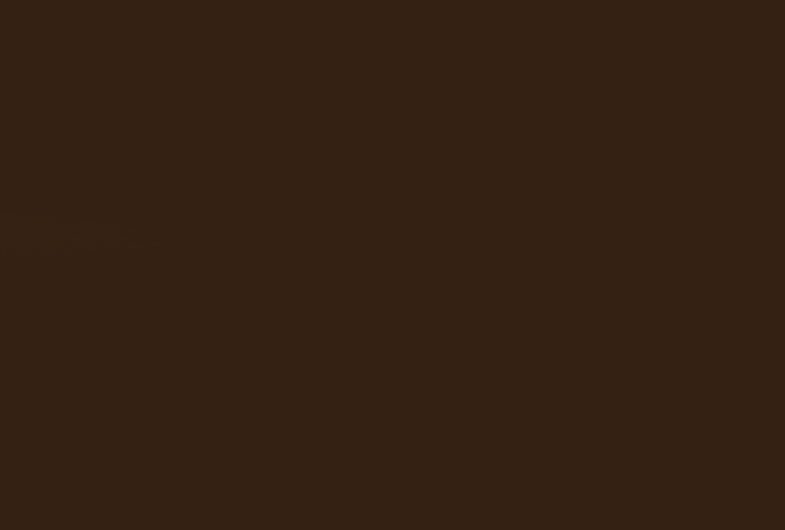 Фасад из плиты AGT High Gloss 18 мм, глянцевый, Шоколад-620 (односторонний) (RAL 8007) PUR