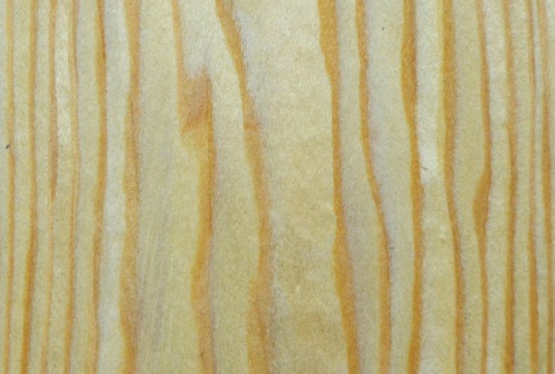 Фасад из плиты шпонированный Fine Line, 19 мм, матовый закрытопористый, 1 ст, цвет Сосна
